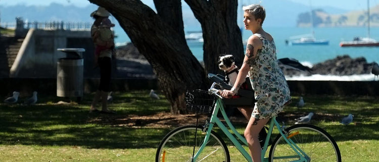 Jenny's Favorite Option For Biking Smaller Dogs