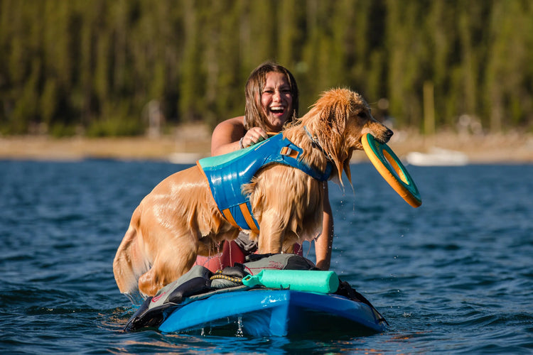 Dog Life Vests