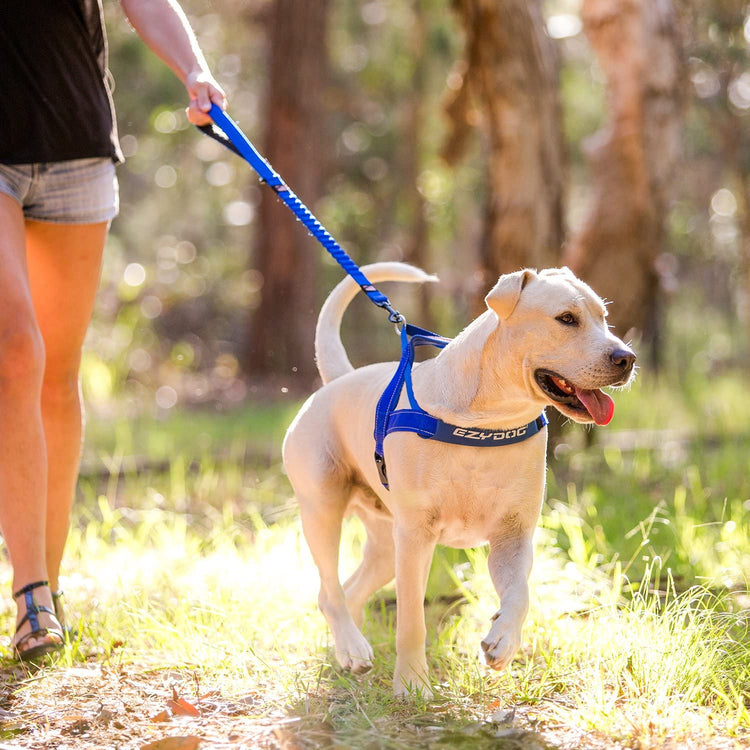 Specialty Leashes