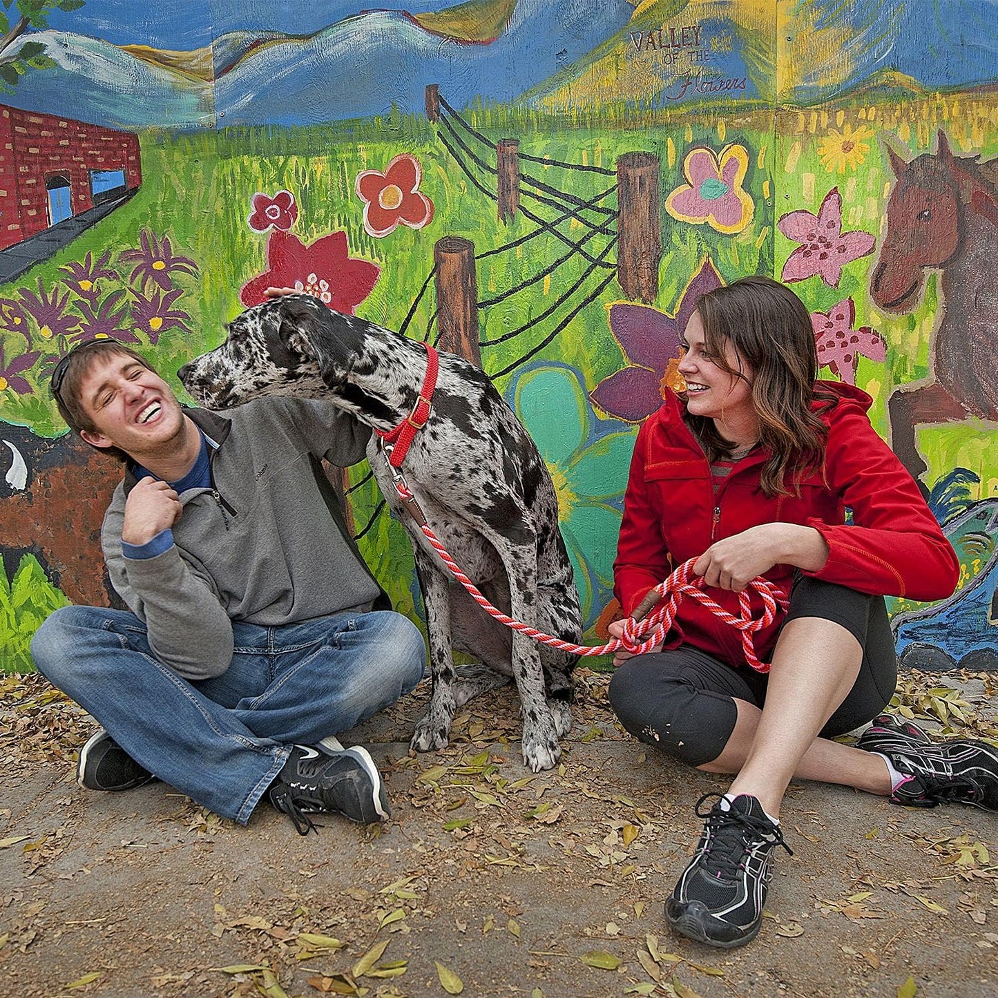 Mendota Pet Snap Leash - British-Style Braided Dog Lead, Made in The USA - Taffy, 1/2 in x 6 ft - for Large Breeds