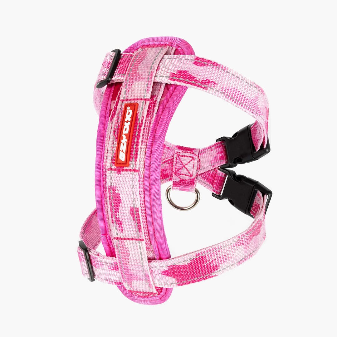 EzyDog Padded Chest Harness