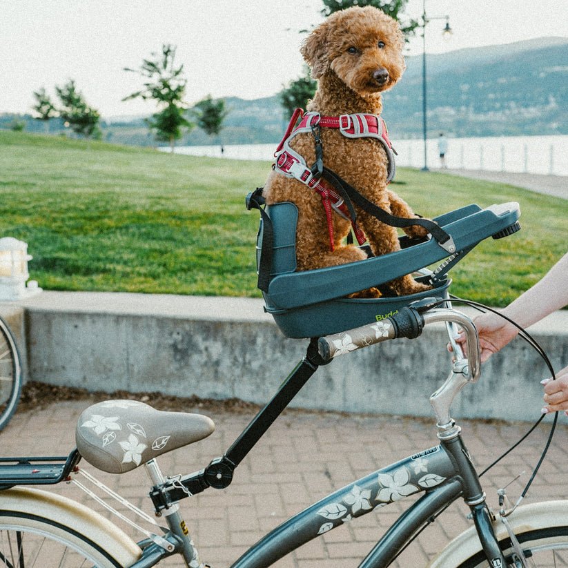 2026 Buddyrider® Series 2 Dog Bicycle Seat
