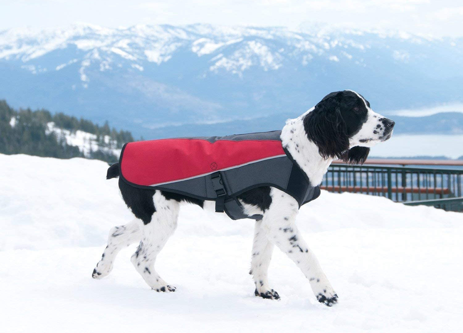 Tear Resistant Dog Winter Coat With Tough Outer Canvas Jacket Material And Generous Adjustable Opening To Connect Leash To Underlying Harness. Reviewed for Wintery Conditions