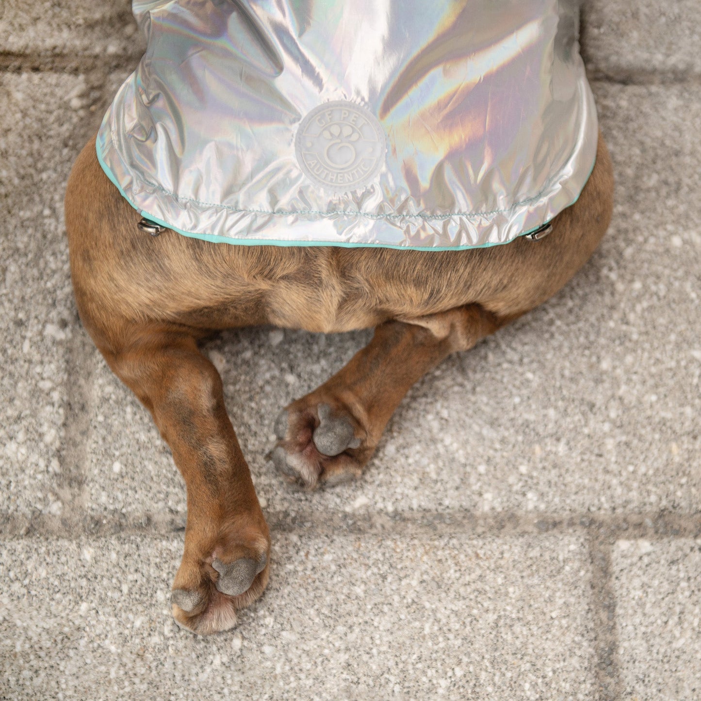 Reversible Dog Raincoat - Neon Aqua/Iridescent Dog Rain Jacket with hood