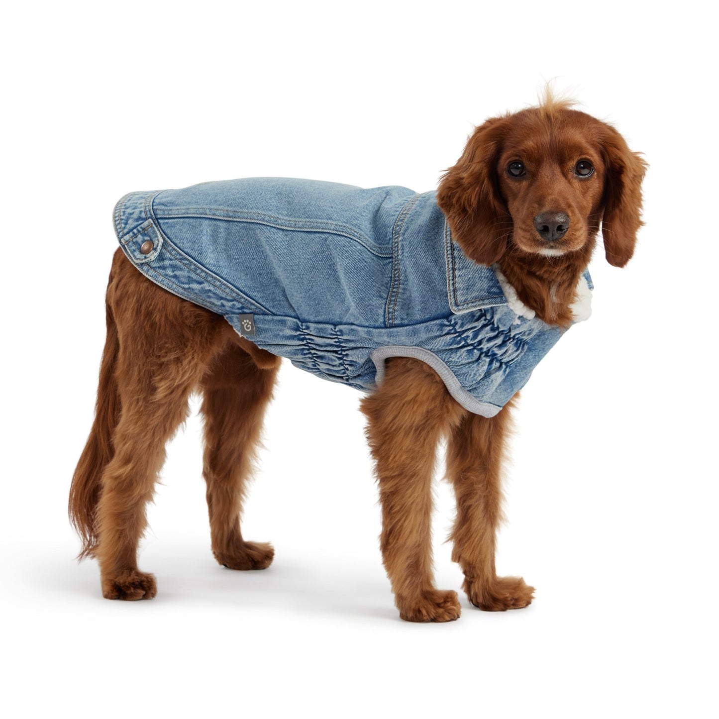 Warm denim jacket for dogs – GF PET sherpa jean vest