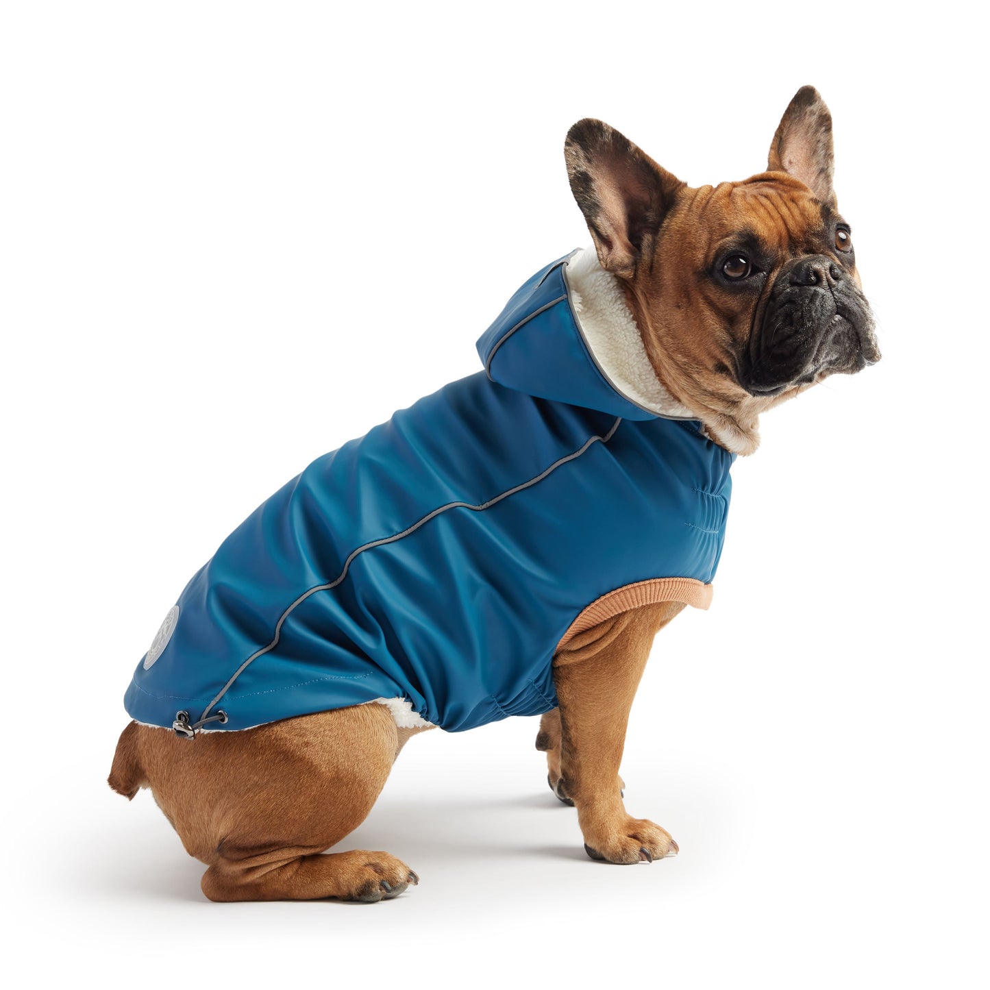 Insulated Waterproof Dog Winter Raincoat - Dark Blue