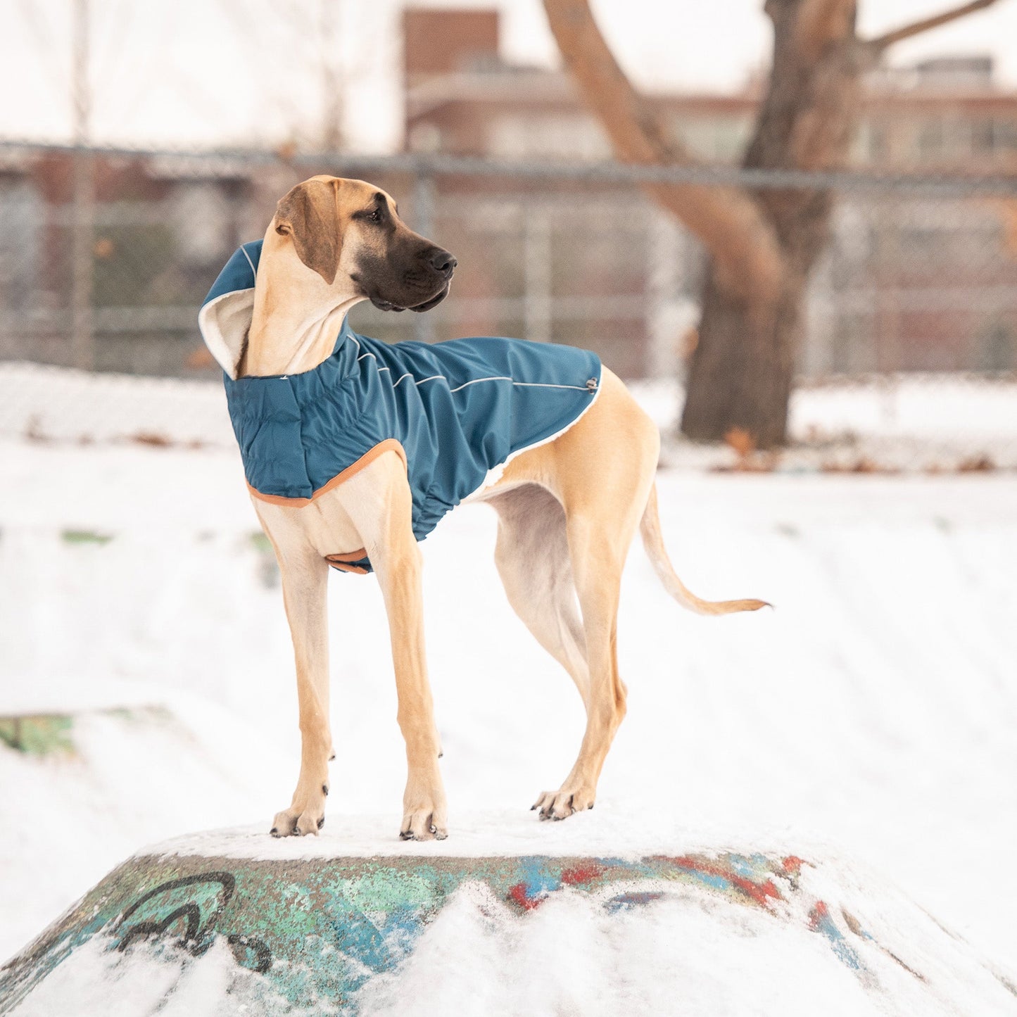 Insulated Waterproof Dog Winter Raincoat - Dark Blue