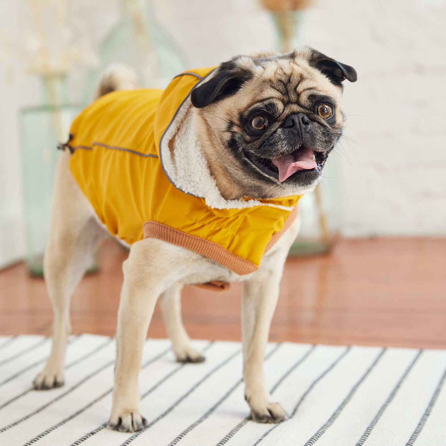 Insulated Waterproof Dog Winter Raincoat - Yellow