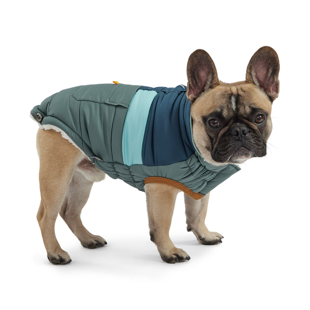Puffer Dog Coats - Sherpa Lined Water Resistant Dog Coat