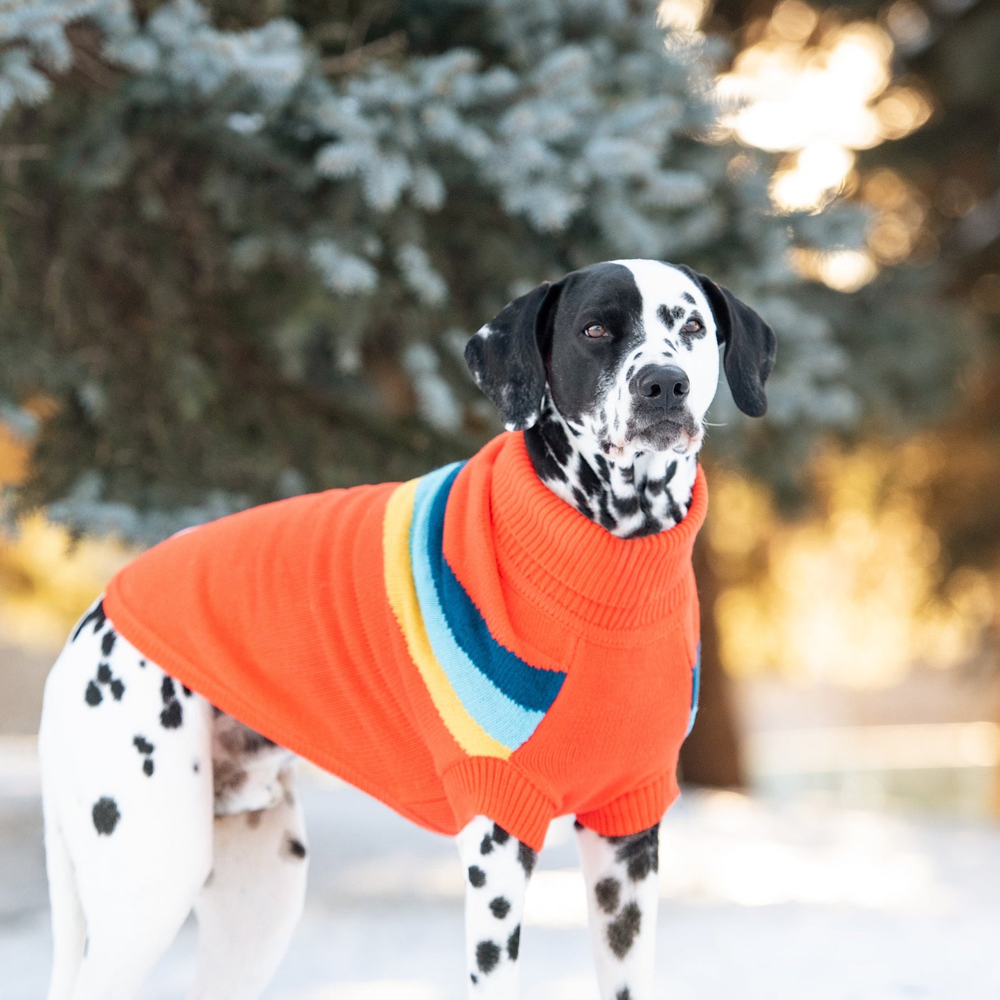 Alpine Chevron Dog Sweater - Orange Vintage Style Winter Dog Sweater