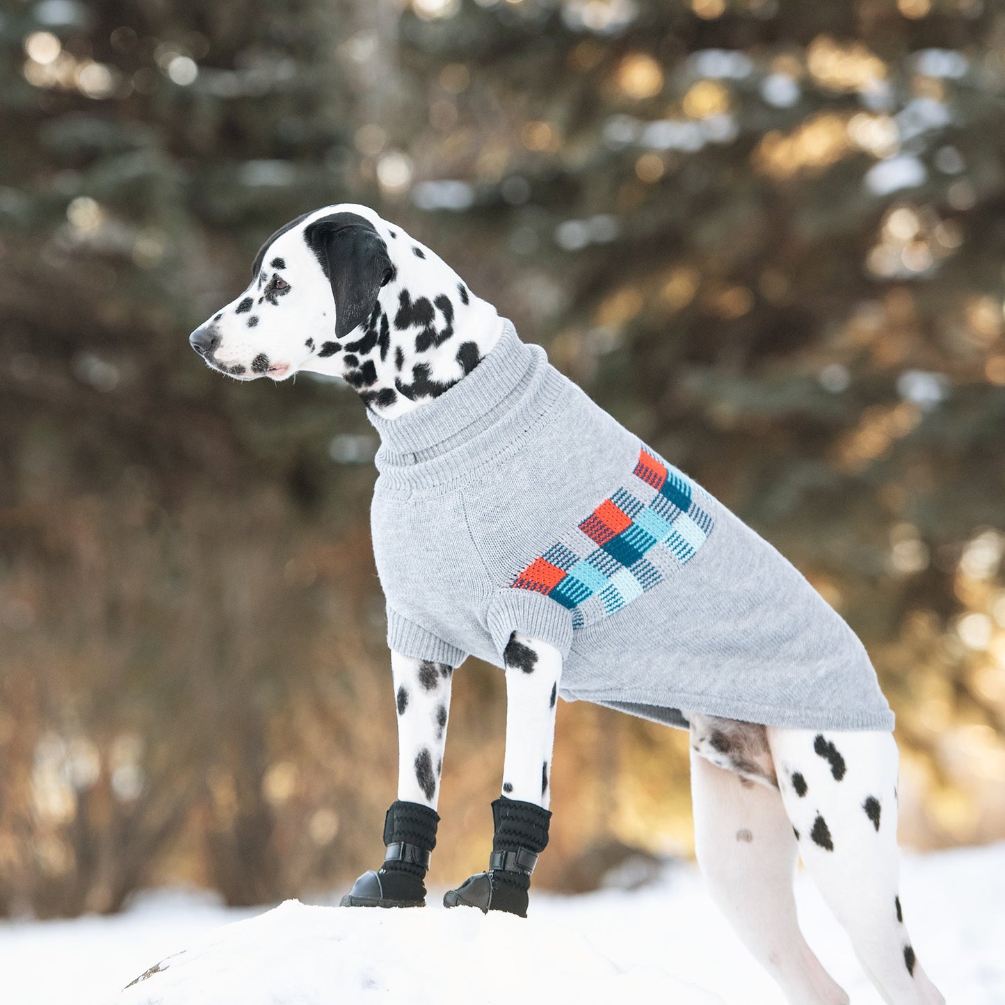 Winter Sailor Dog Sweater - Grey Mix Winter Dog Sweaters