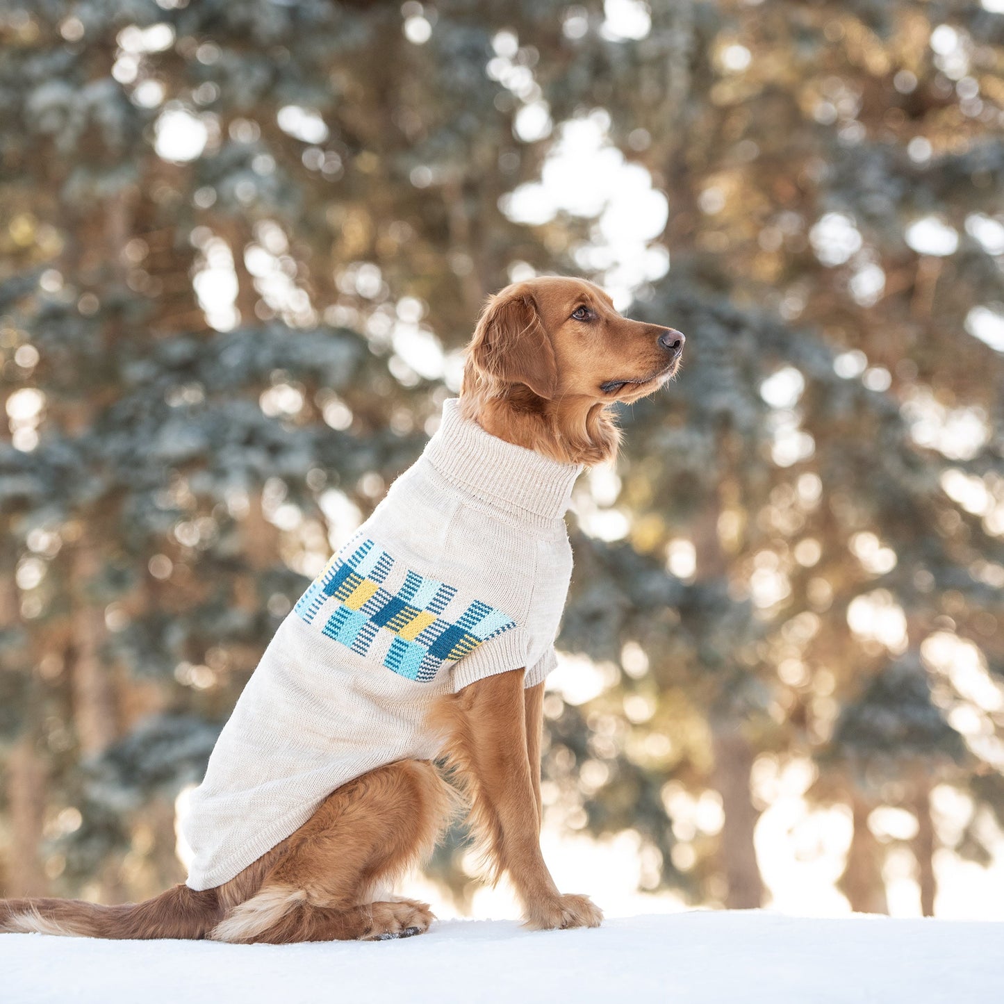 Winter Sailor Dog Sweater - Oatmeal Mix Winter Dog Sweaters