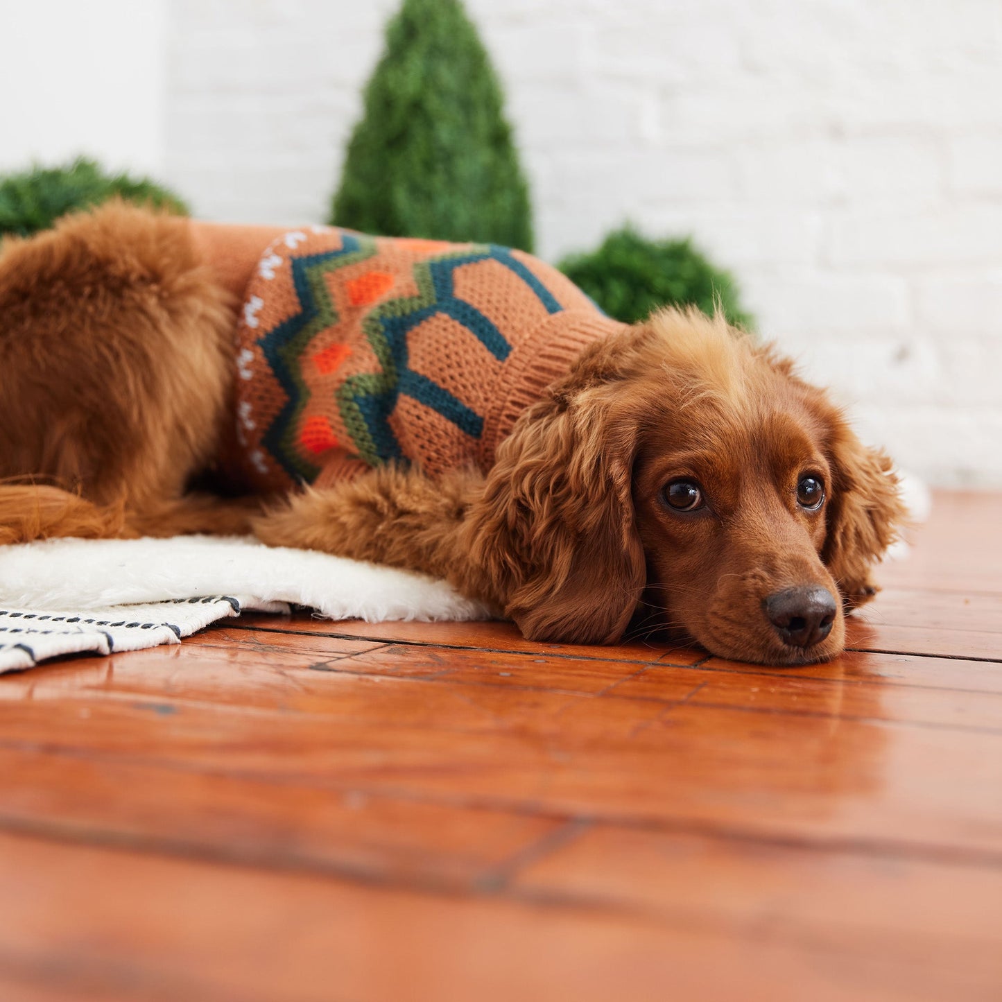Heritage Fair Isle Dog Sweater – Retro Nordic Hazel teal orange green white accents scandinavian ski sweater Knit Winter Dog Sweaters