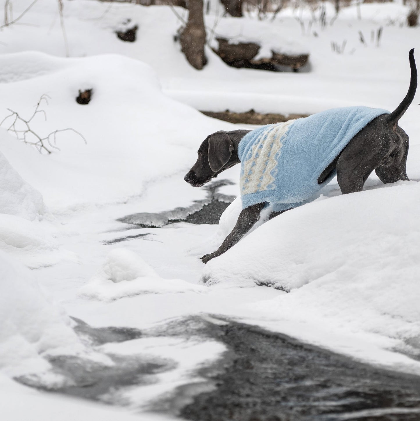 Fuzzy Dog Sweaters | Vintage Look Winter Dog Sweaters