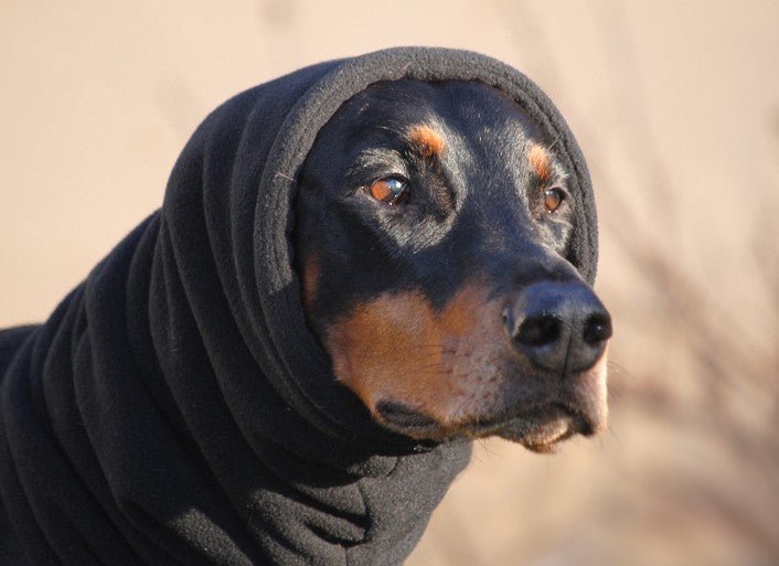 Snood Dog Winter Neck & Ear Protector | Made In USA