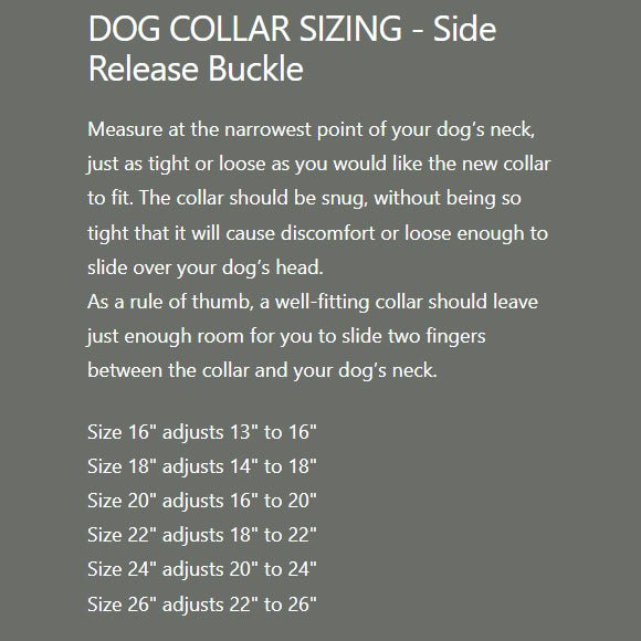 Sparky's Choice Waterproof Dog Collar Color: Pink, Size: 1" x 18"