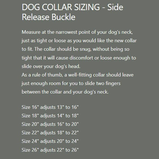 Sparky's Choice Waterproof Dog Collar Color: Pink, Size: 1" x 18"