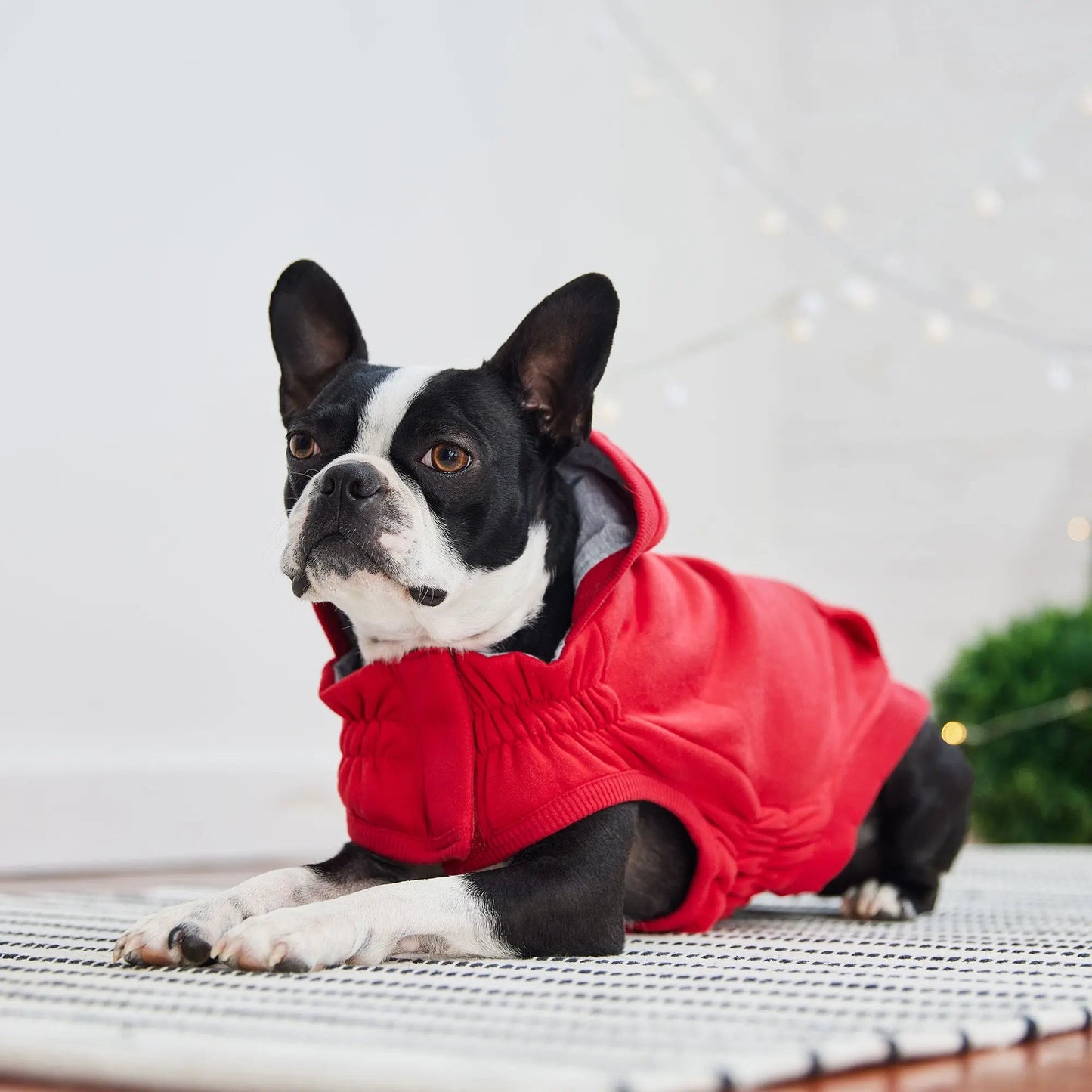 Urban Hoodie - Red