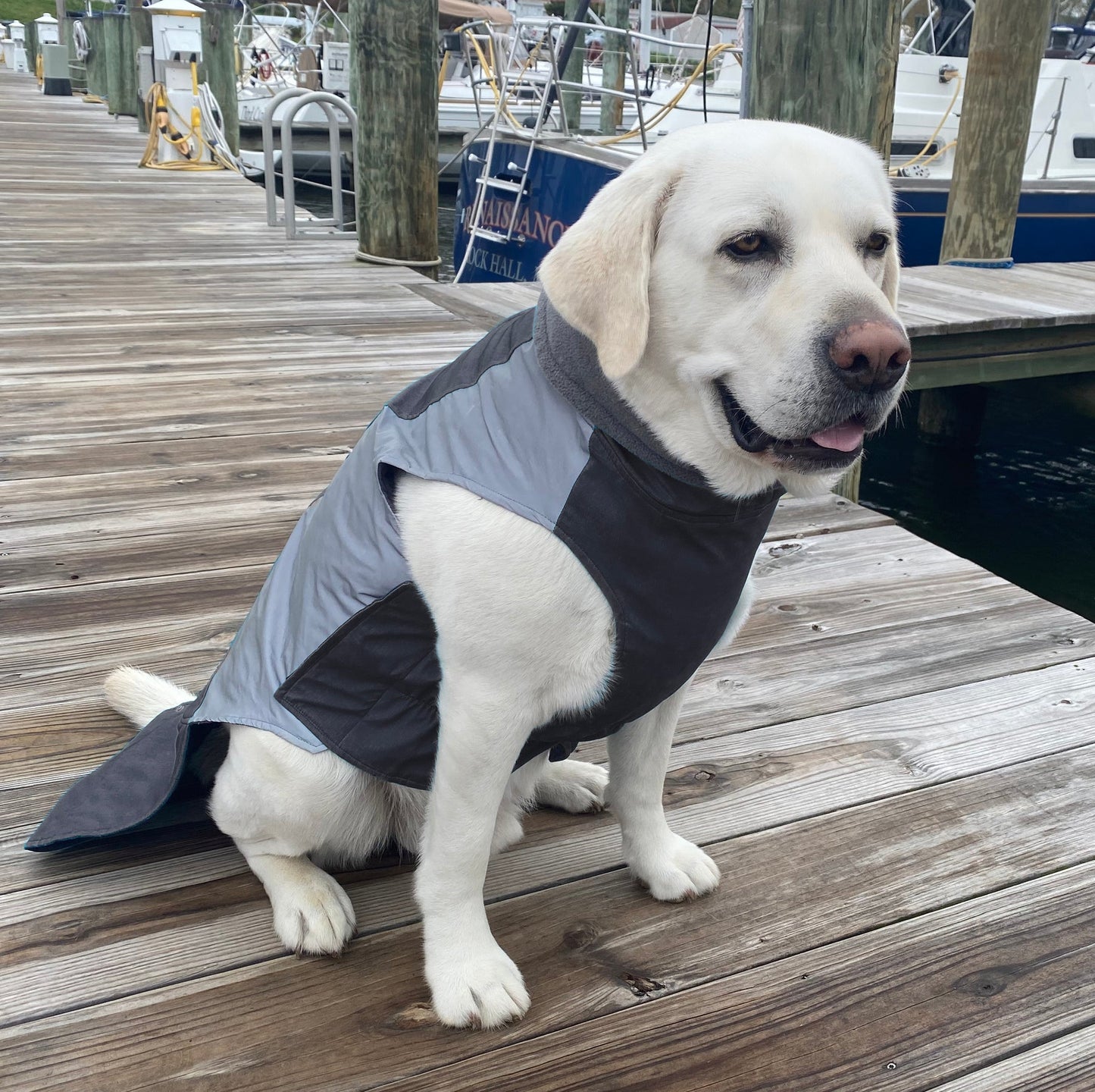 Glacier Bay Dog Winter Coat