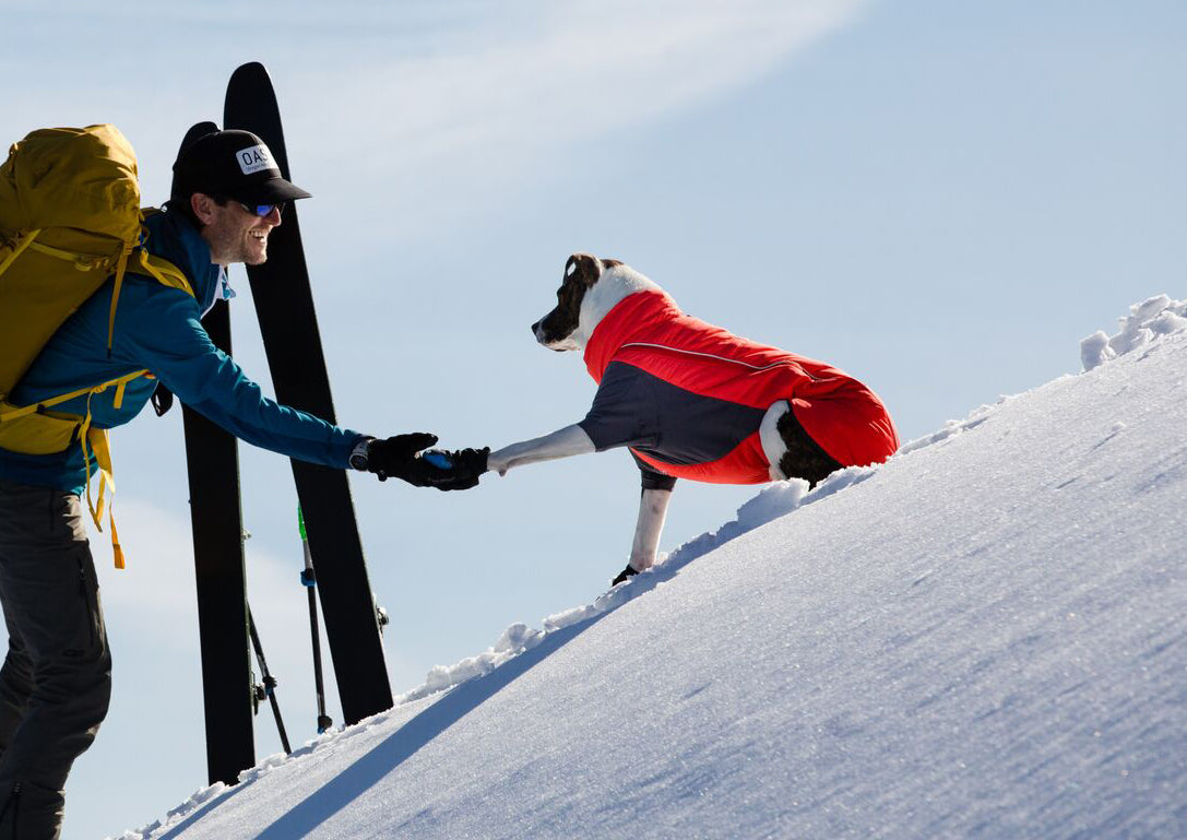 Warmest Dog Winter Coat Furness Insulated Keeps Dog's Heat In Their Core Completely Snow and Waterproof