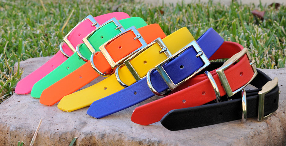 Zeta Waterproof Dog Collar Review From Our Testing With Real Dogs In Real Scenarios and Environments