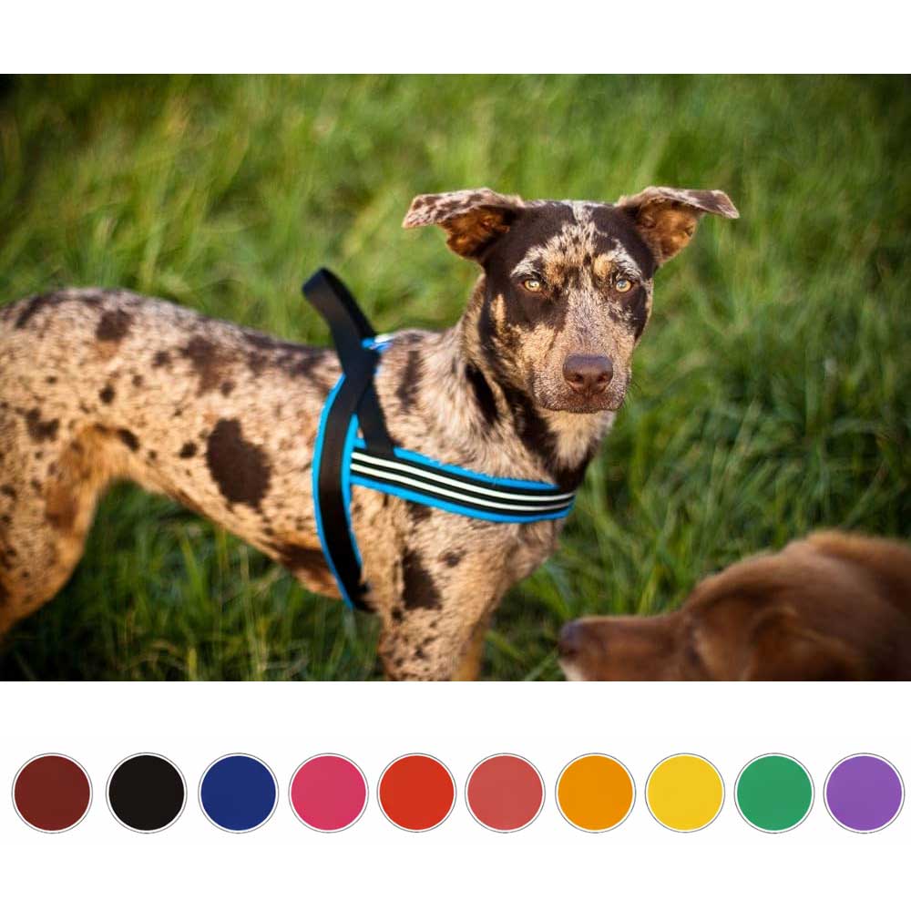 ComfortFlex Sport Padded Harness | American Made Dog Harnesses