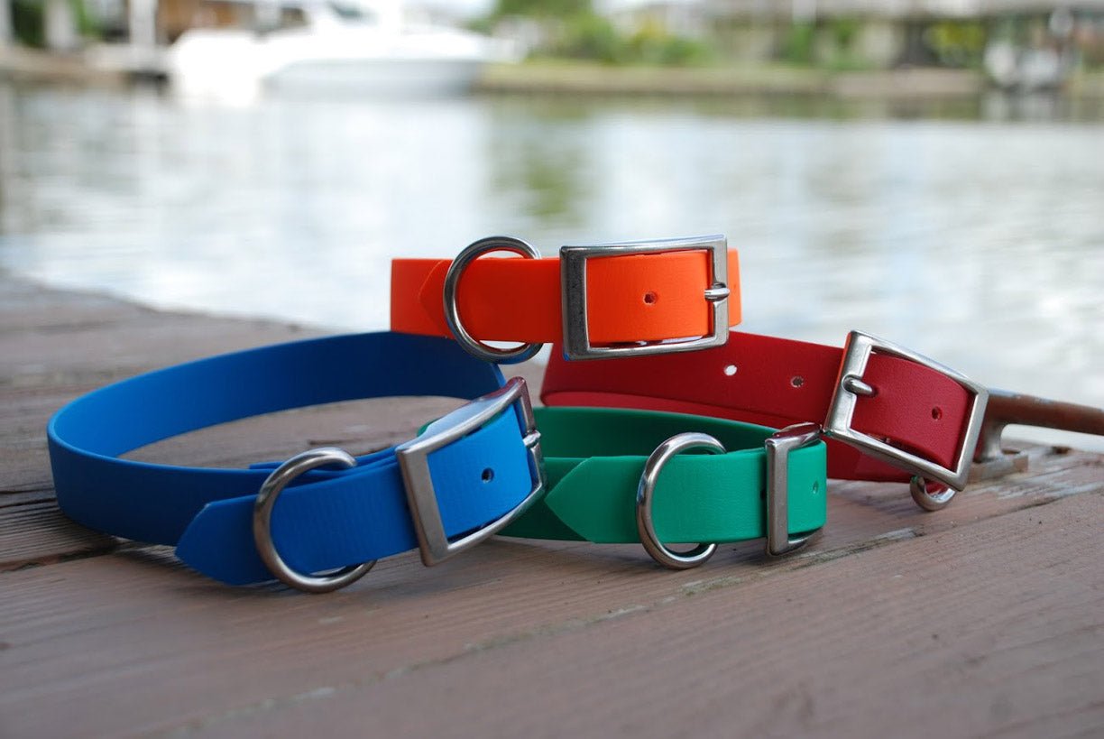 Four saltwater proof dog collars (blue, orange, green, red) on a wooden dock near the water.