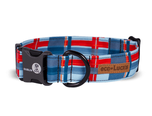 Dublin Dog Eco Lucks Dog Collar - Small Harbor