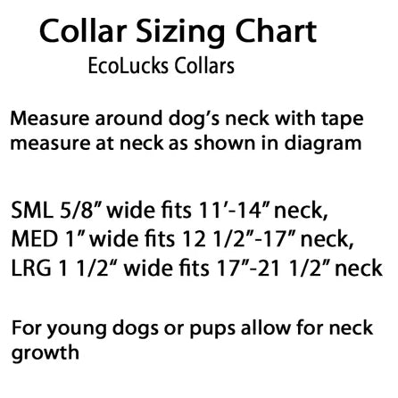 Dublin Dog Eco Lucks Dog Collar - Large Harbor