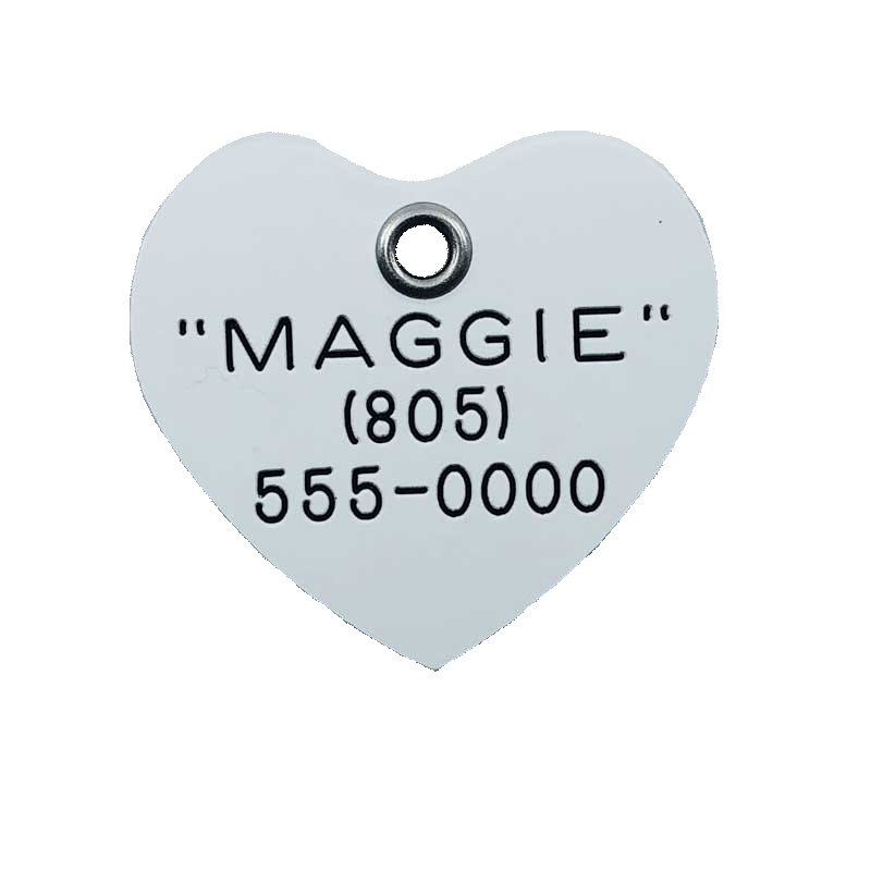 E-Z Read Durable Plastic Dog Tags - Guaranteed Not To Break