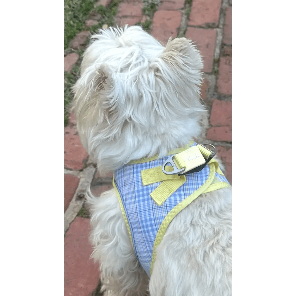 Plush Step In Harness Spring Plaid