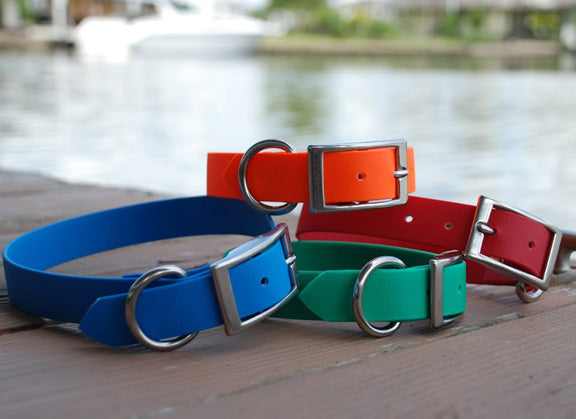 SaltyDog Saltwater Proof Dog Collar Review From Our Testing With Real Dogs In Real Scenarios and the beach and bay water. Stainless Steel Hardware For Rust Proof Long Lasting