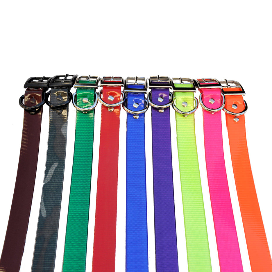 SunGlo Waterproof Dog Collars