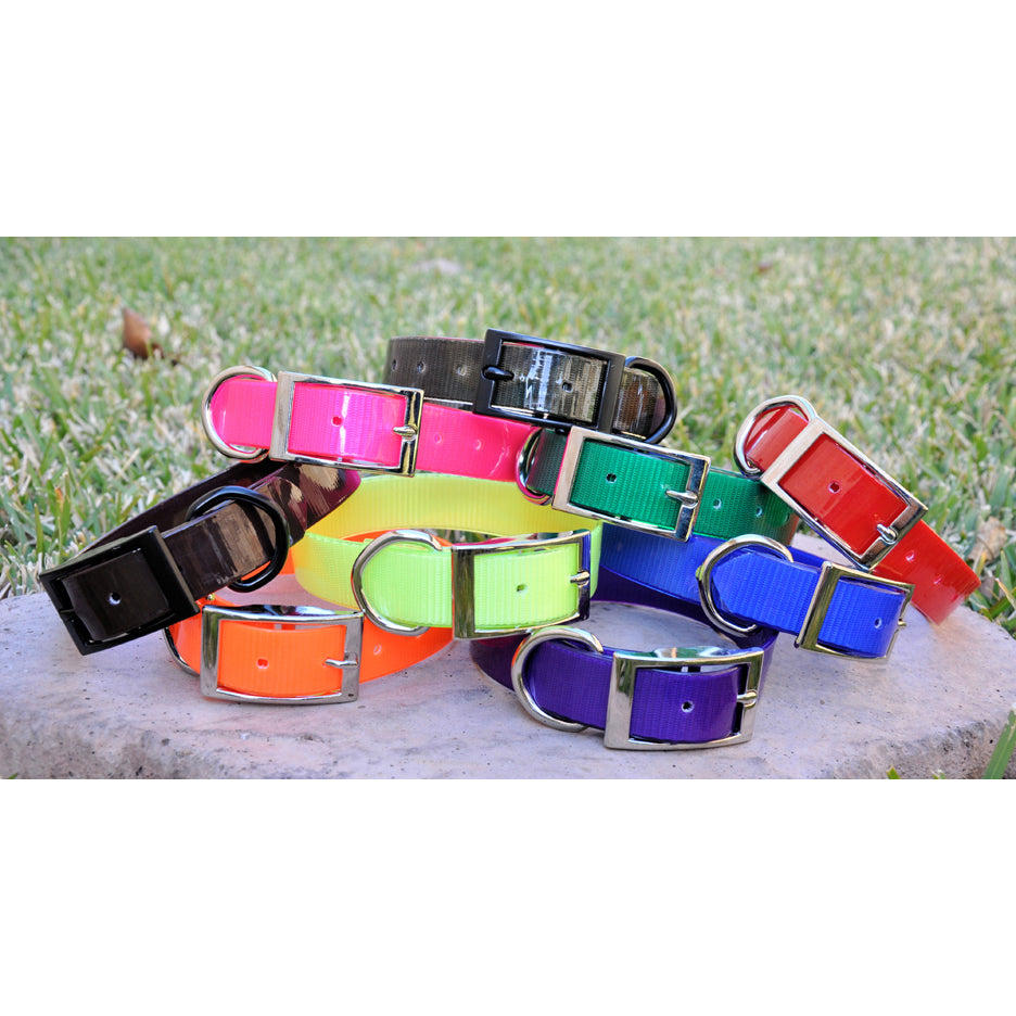 SunGlo Waterproof Dog Collars