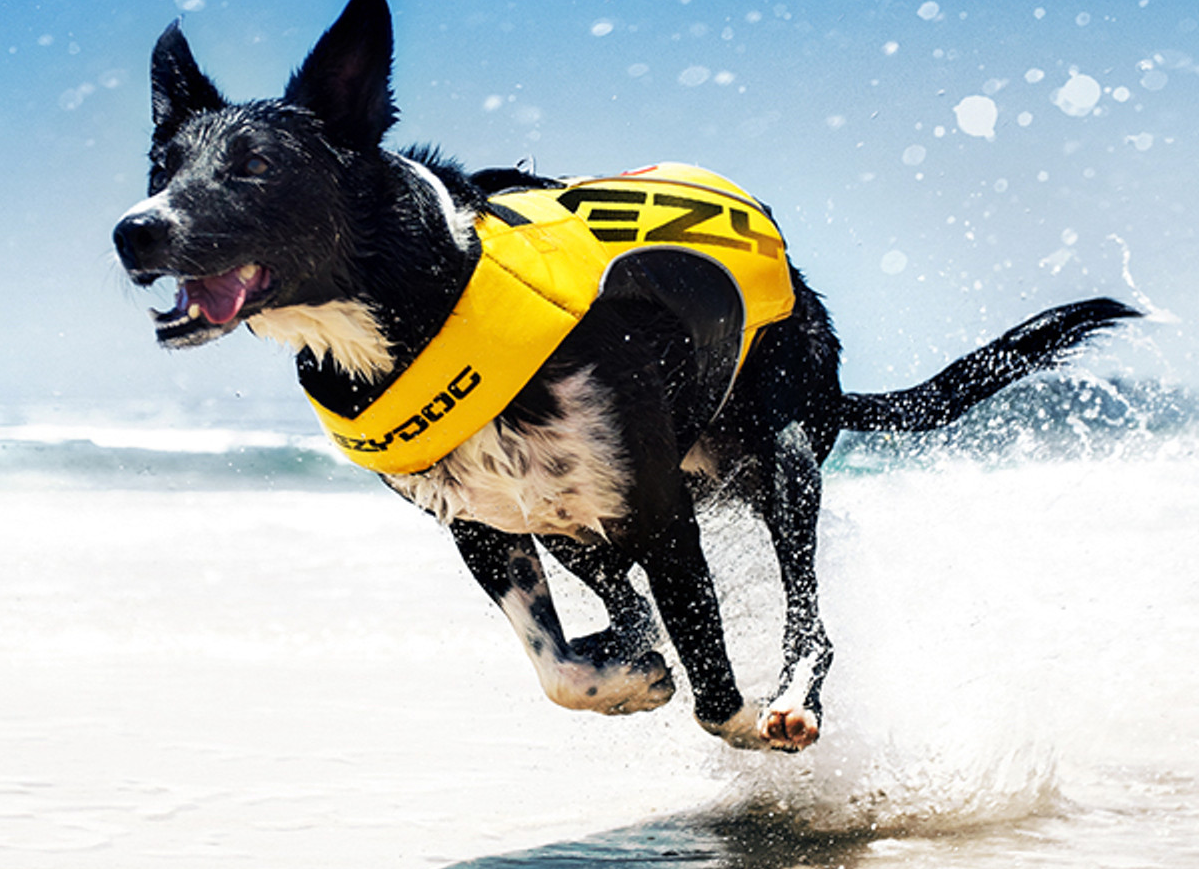 EzyDog DFD X2 Boost Dog Life Jacket On Beach