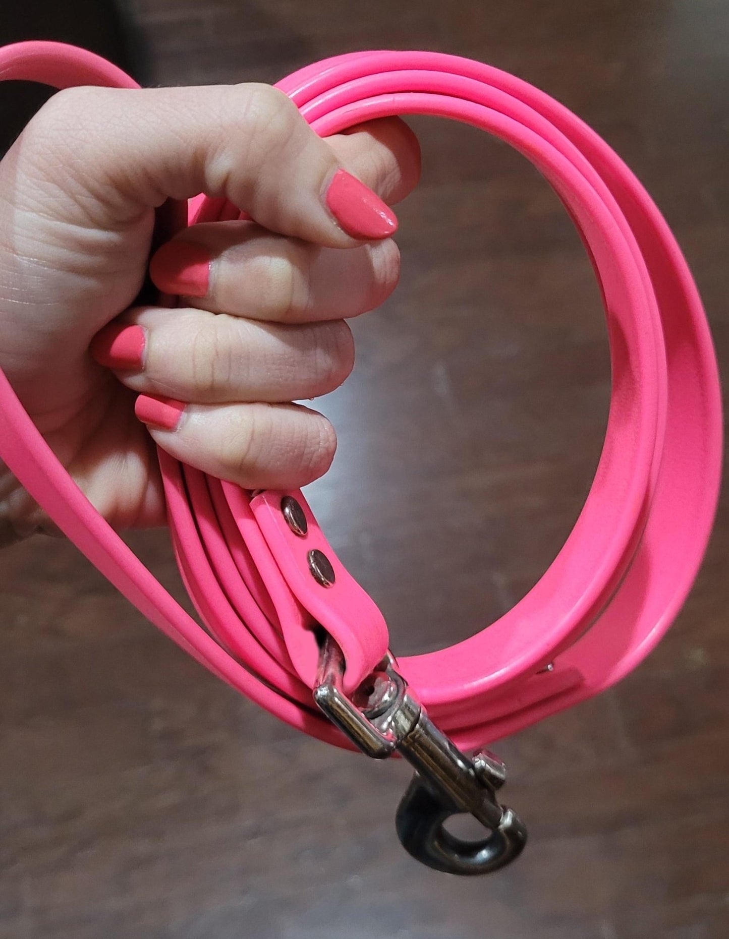 Zeta Waterproof Dog Leashes | 6 Foot