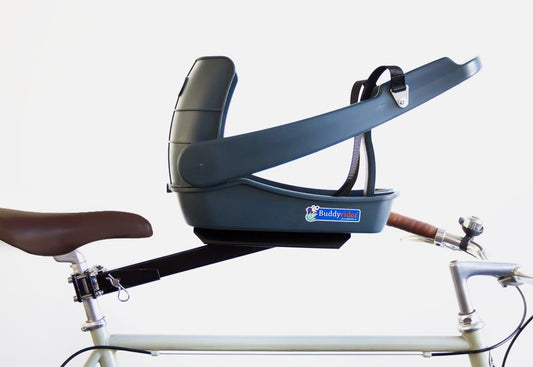 Bike with a Buddyrider dog seat attached.