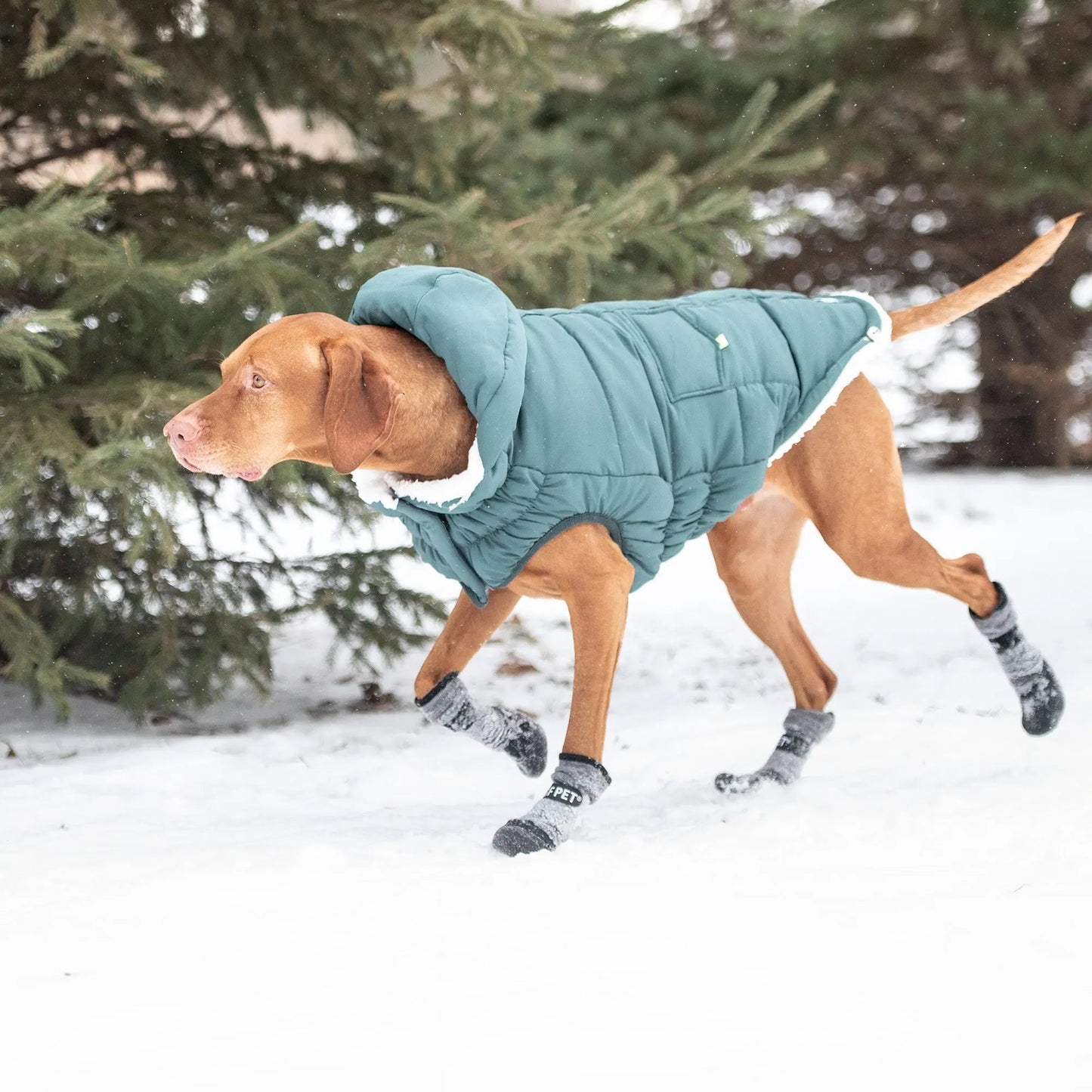 Super Puff Parka Dog Winter Jacket