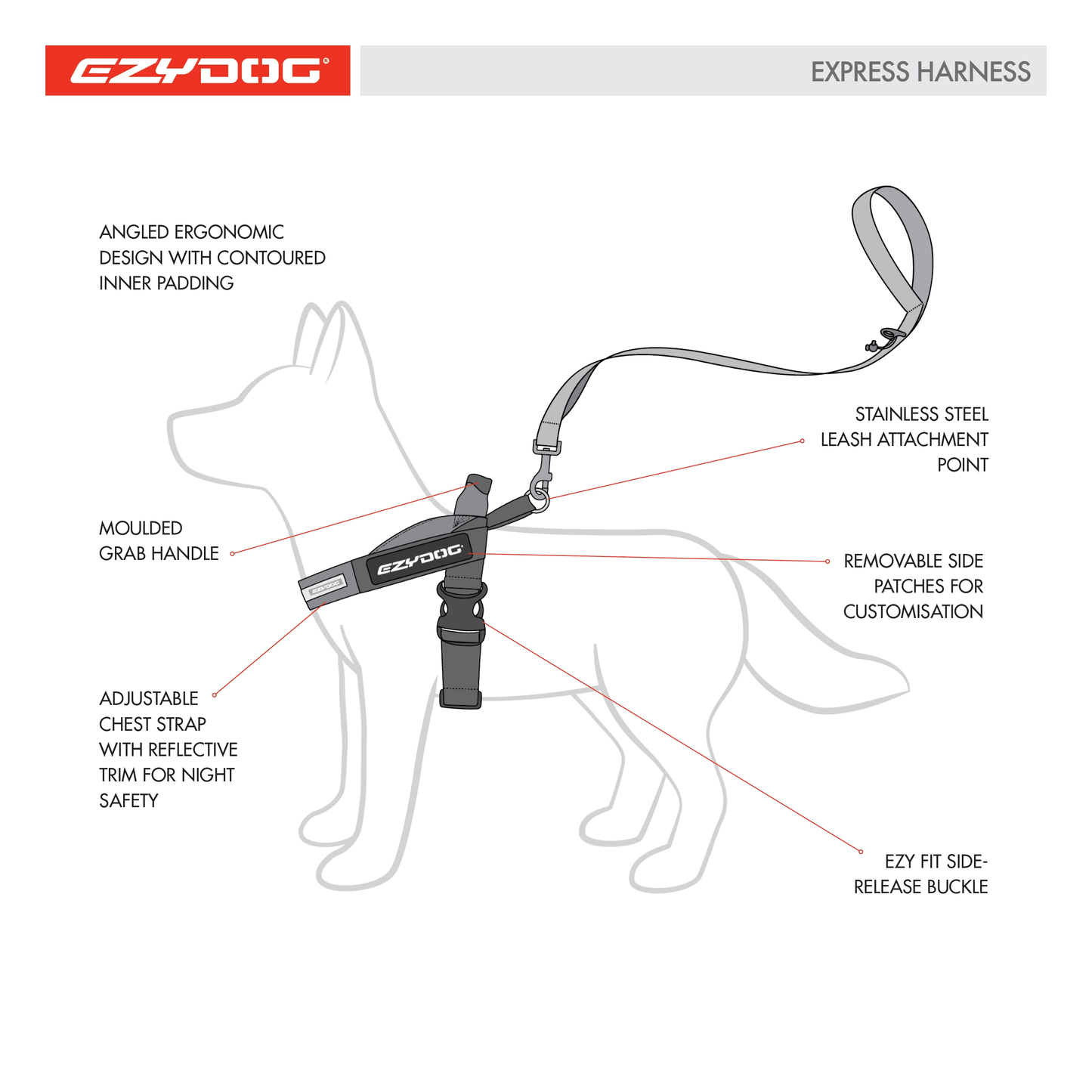 EzyDog Express Harness (Customizable)