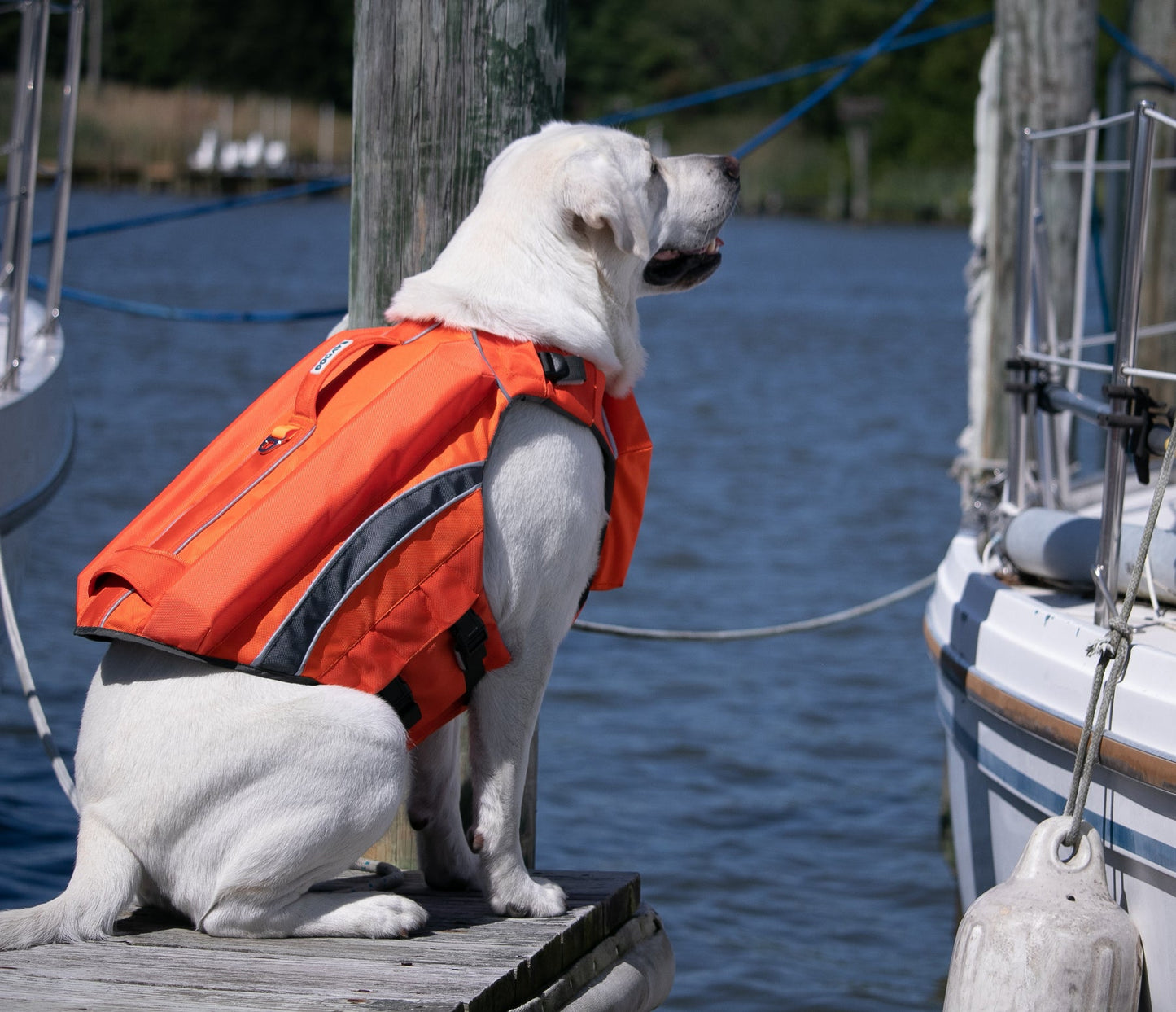 BayDog Monterey Bay Life Jacket Offshore Edition