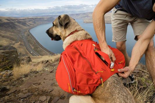 Ruffwear Palisades Pack