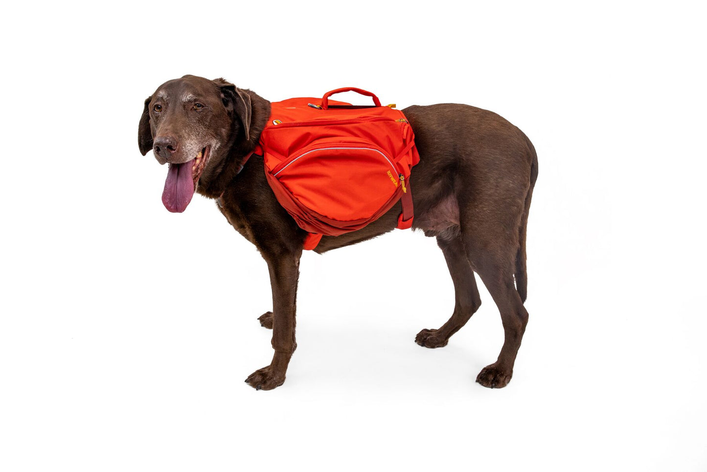 Ruffwear Palisades Pack