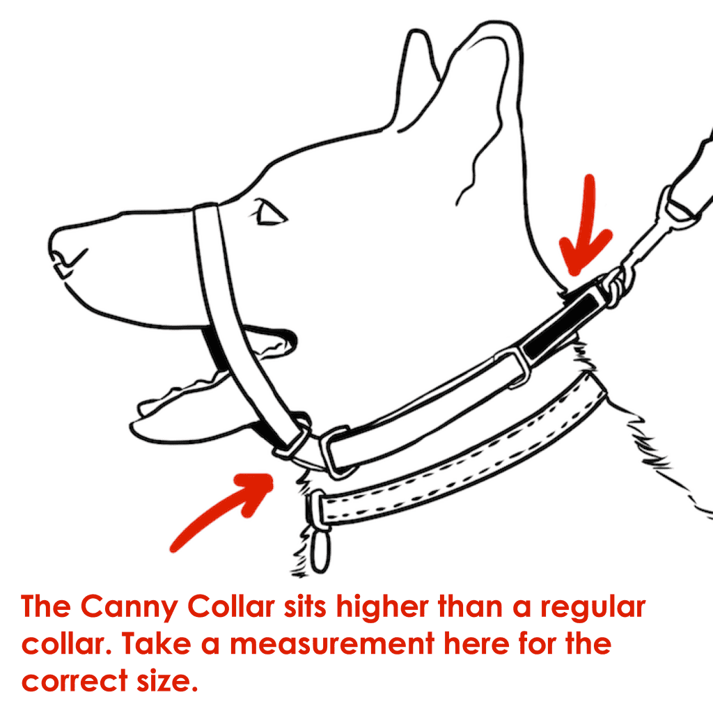 Canny Collar No Pull Dog Collar