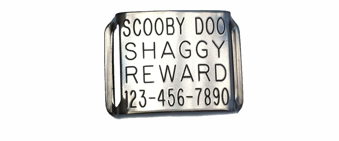 Boomerang Double-Thick Slide On Dog CollarTag™ - Stainless Steel