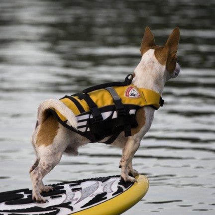 EzyDog Micro Flotation Vest