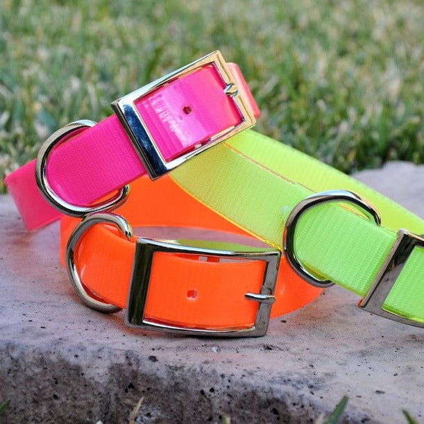 SunGlo Waterproof Dog Collars