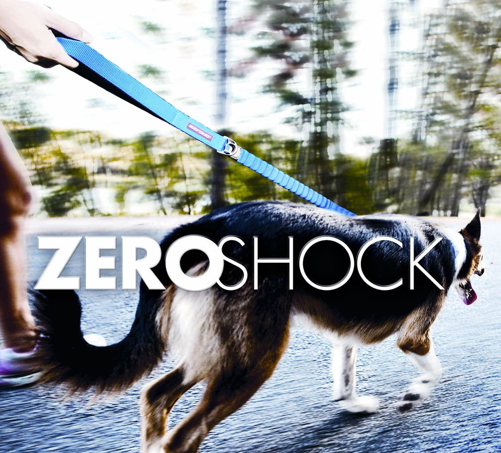 EzyDog Zero Shock Control Leash