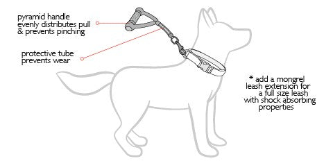 EzyDog Mongrel Leash | Training & Control Leash