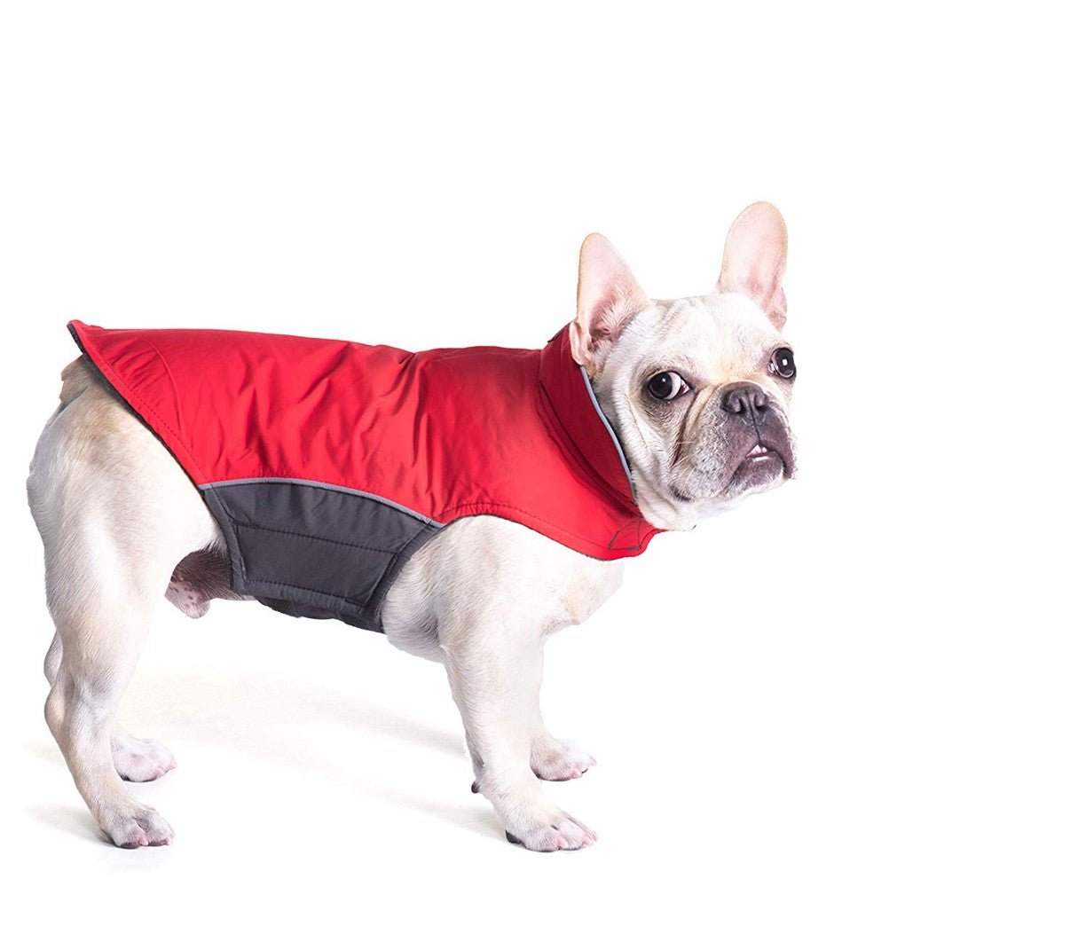 Apex Dog Winter Jackets