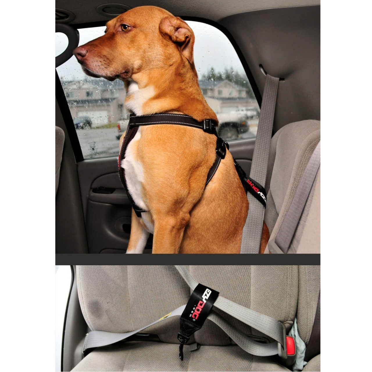 EzyDog Seatbelt Restraint